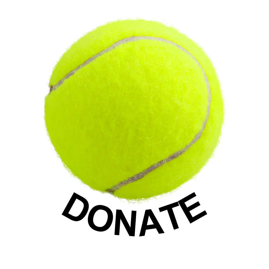 Donate
